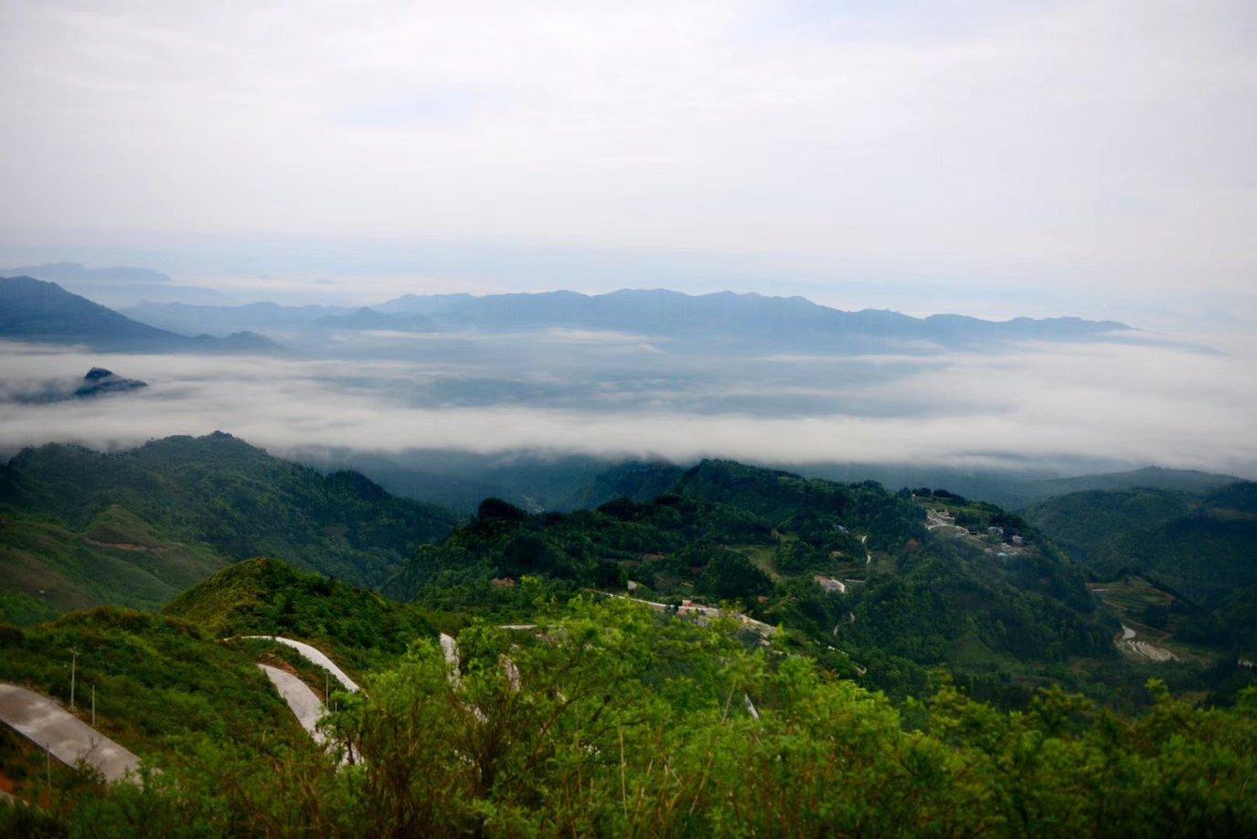 探索台风“南玛都”将影响山东,这两次的台风为何都影响到了山东?世界-台风“南玛都”将影响山东,这两次的台风为何都影响到了山东?红迪网社区